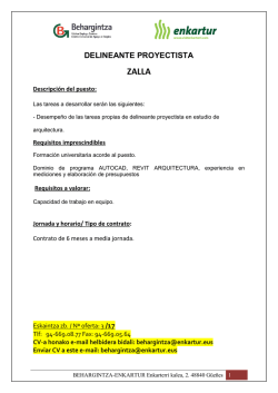 Delineante proyectista (PDF 403KB)