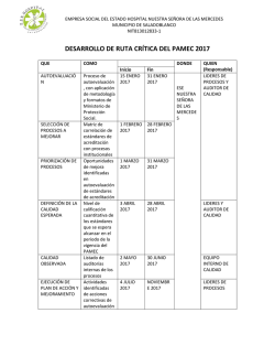 desarrollo de ruta crítica del pamec 2017