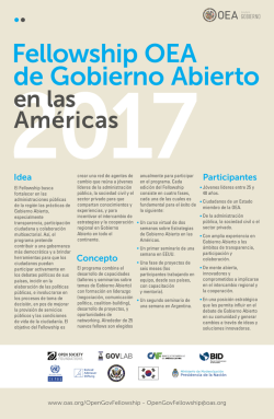 de Gobierno Abierto Fellowship OEA
