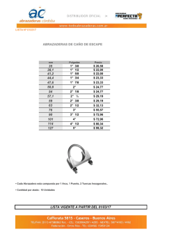 (Lista de Precios ca\361o de escape 010317.xls)