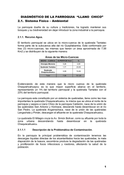 capitulo i