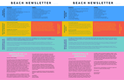 beach newsletter march 2017 beach newsletter marzo 2017